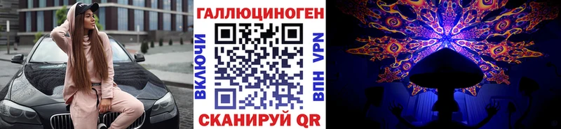 купить закладку  Вытегра  Галлюциногенные грибы GOLDEN TEACHER 